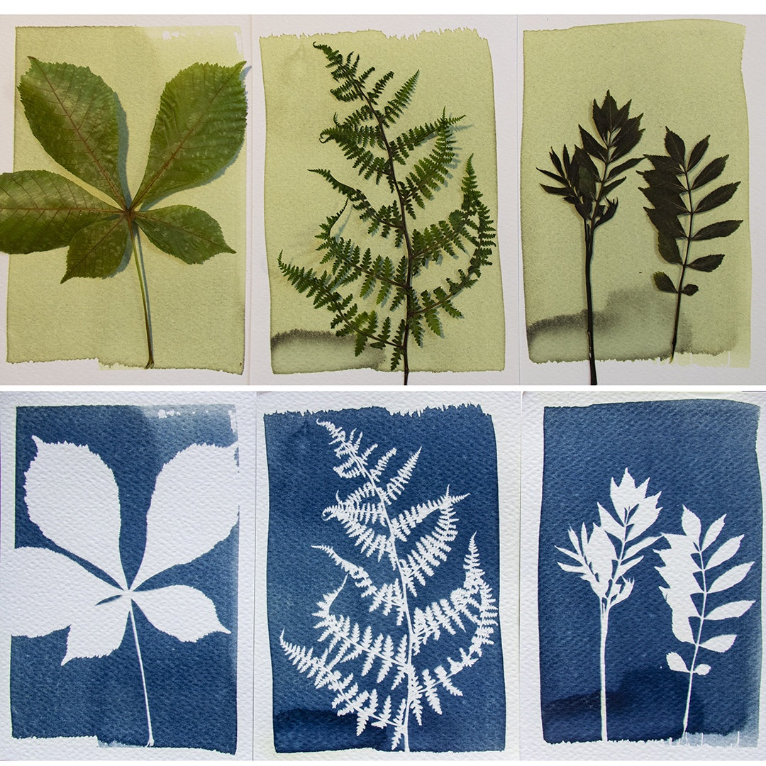 Cyanotype Set reates a blueprint or pictures with Cyanotype Kit