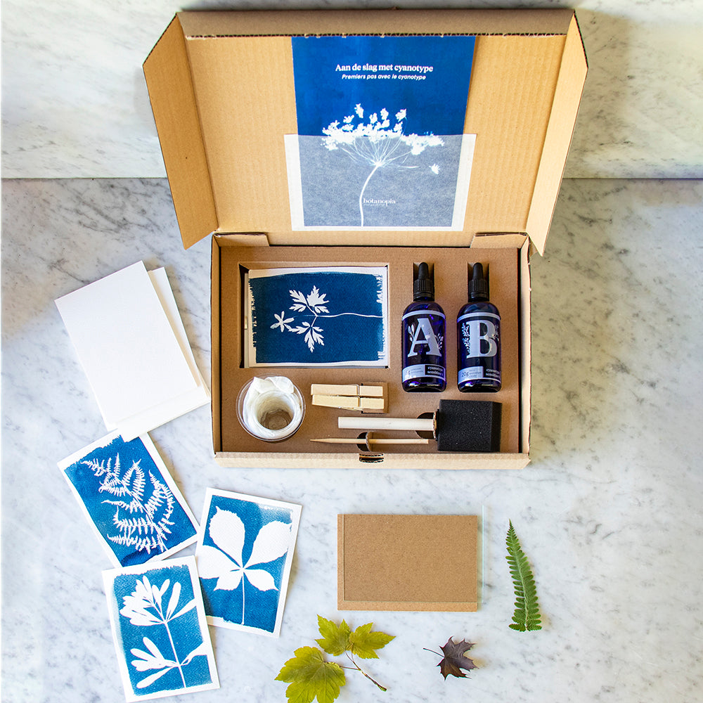 Corporate gifts, mini art kits, cyanotype kit, team bonding, stocking –  elemental_leaf