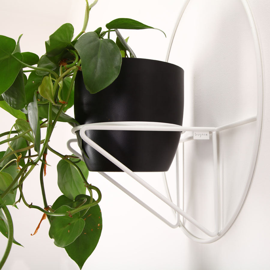 metal plant wall hanger Wall Plant Hanger Black – PlantBe Studio