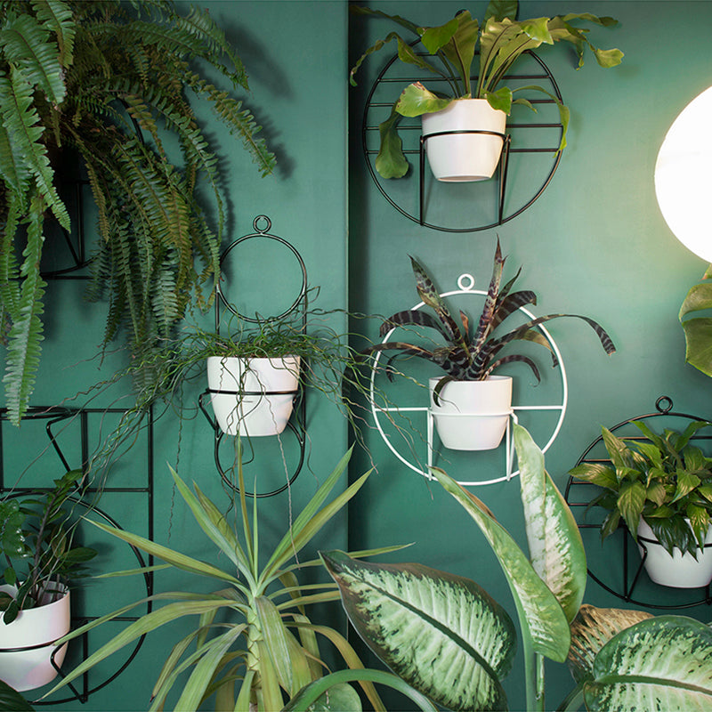 black wall plant hanger Wall Plant Hanger Black – PlantBe Studio