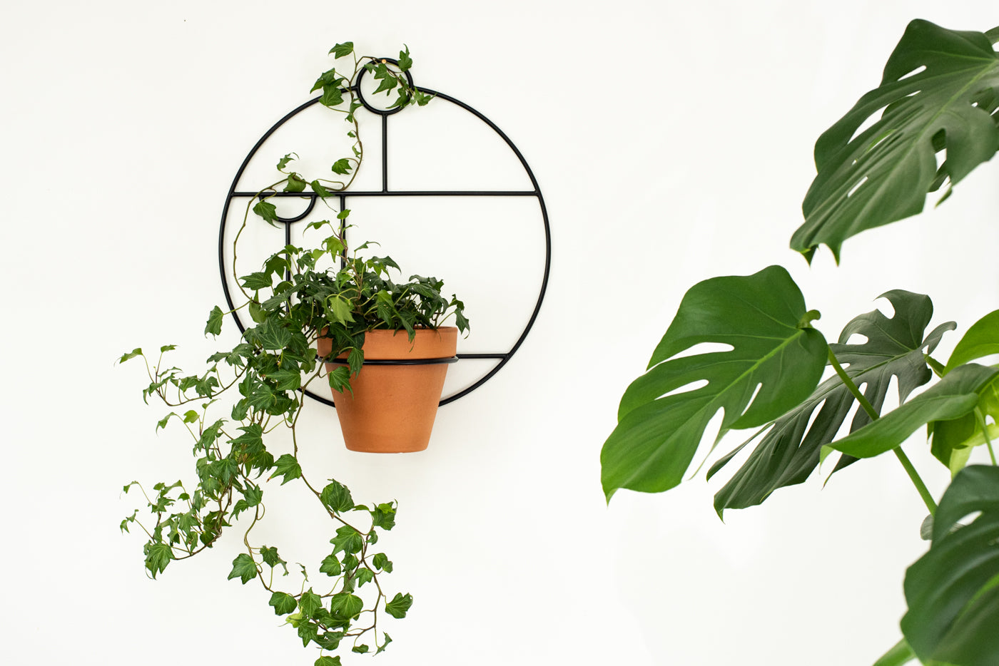 modern wall plant hanger Etta Wall Plant Hanger – PlantBe Studio