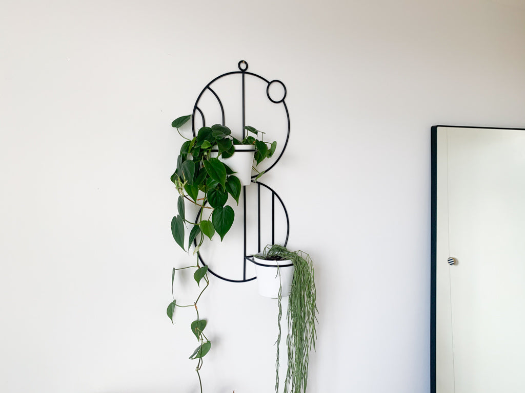 plant hanger wall Billie Wall Plant Hanger – PlantBe Studio