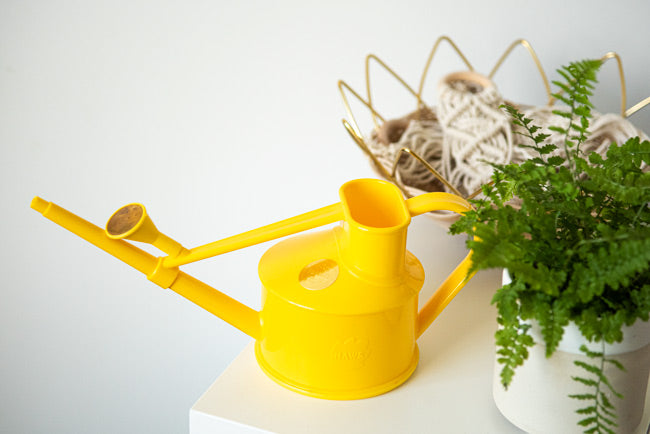 Watering Can by Haws  Yellow